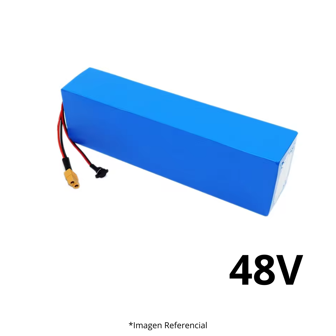BaterĂa de Litio 48V